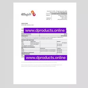 Syria Bank Statement PDF Template