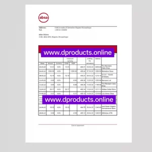 Mozambique Bank Statement PDF Template