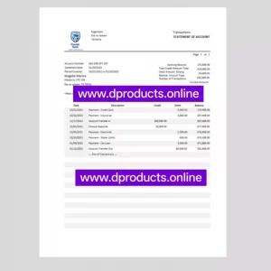 Suriname Bank Statement PDF Template