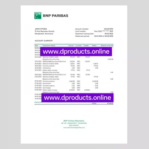 Mauritania Bank Statement PDF Template