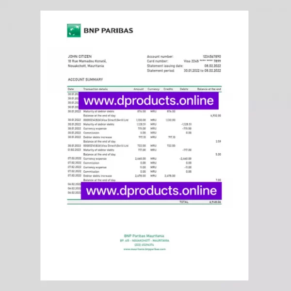 Mauritania Bank Statement PDF Template