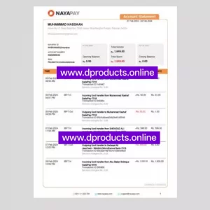 Pakistan Bank Statement PDF Template
