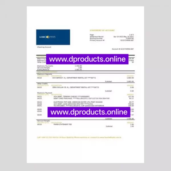 Laos Bank Statement PDF Template