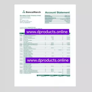 Costa Rica Bank Statement PDF Template