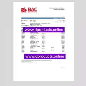Nicaragua Bank Statement PDF Template