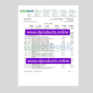 Belize Bank Statement PDF Template