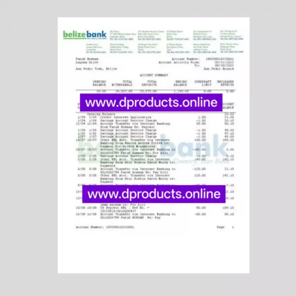 Belize Bank Statement PDF Template