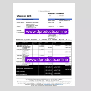 Iran Bank Statement PDF Template