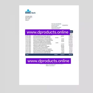 Belgium Bank Statement PDF Template