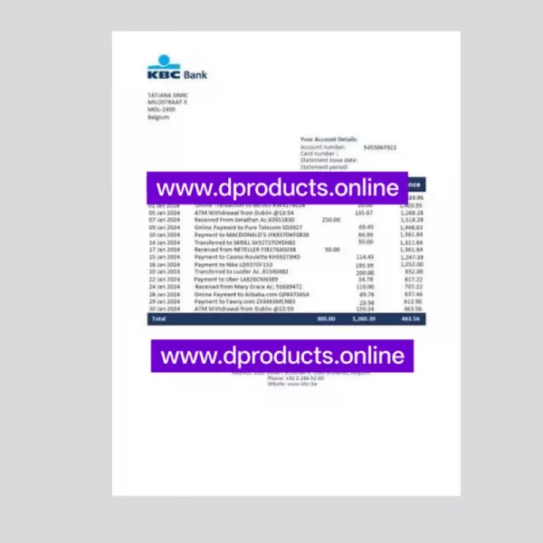 Belgium Bank Statement PDF Template