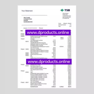 Saint Kitts and Nevis Bank Statement PDF Template