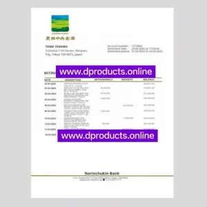 Japan Bank Statement PDF Template