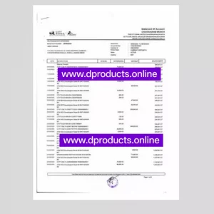 Vatican City Bank Statement PDF Template