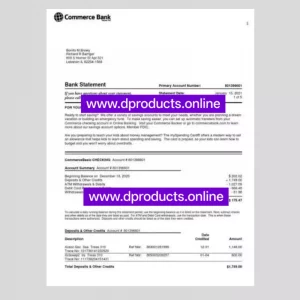 Lebanon Bank Statement PDF Template