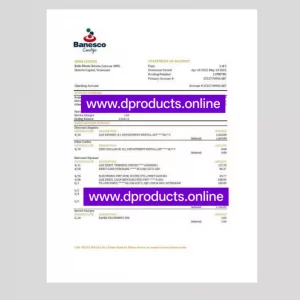 Venezuela Bank Statement PDF Template