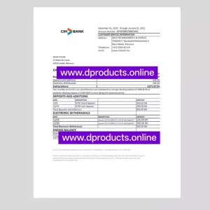 Morocco Bank Statement PDF Template