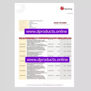 Nigeria Bank Statement PDF Template