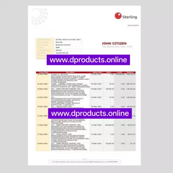 Nigeria Bank Statement PDF Template