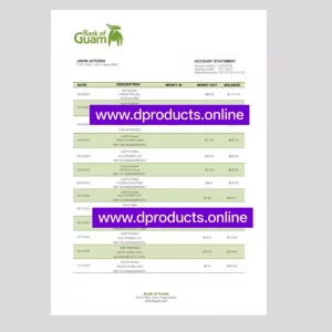 Palau Bank Statement PDF Template