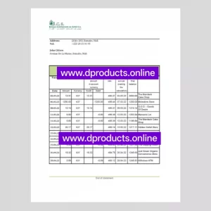 Mali Bank Statement PDF Template